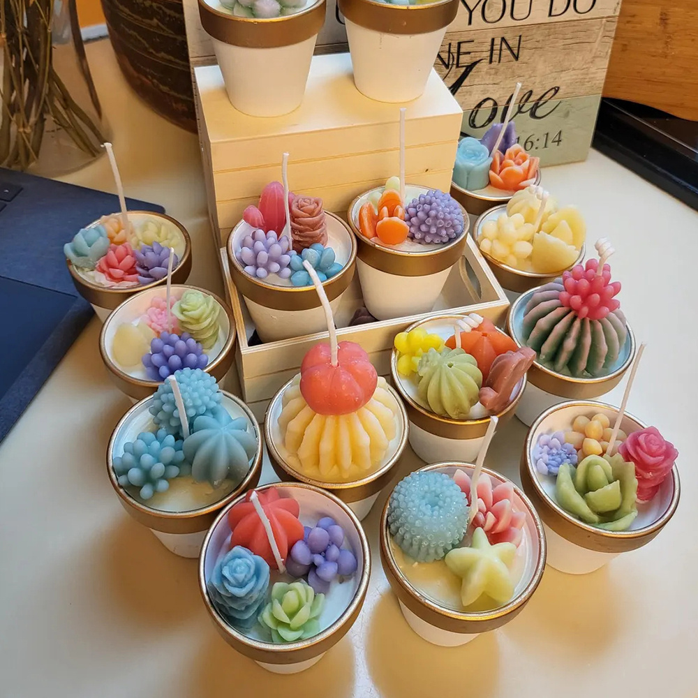 6pcs Succulent Silicone Candle - Candle Supplies In Bulk review and price